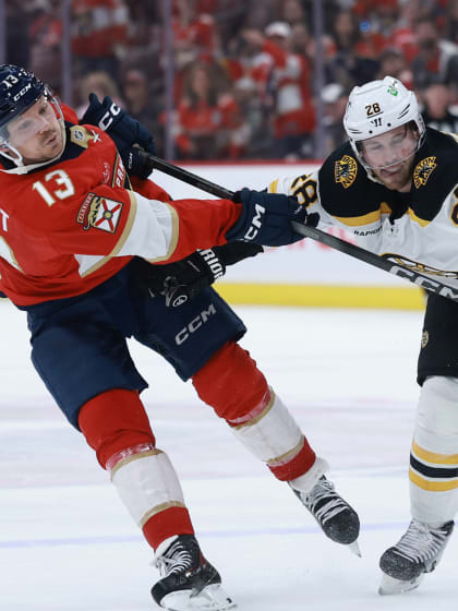 仅仅是在国 仅仅是在国