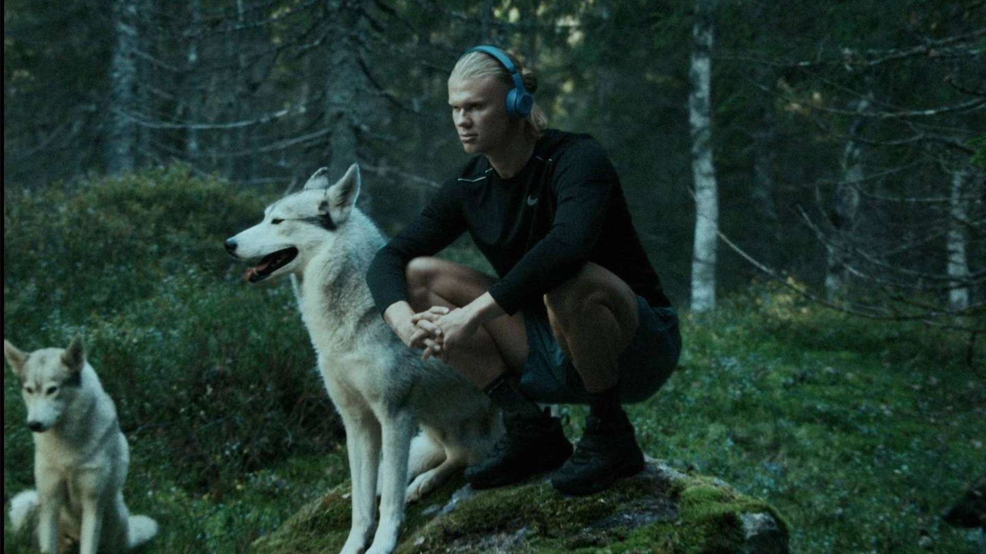 随着经验的 随着经验的