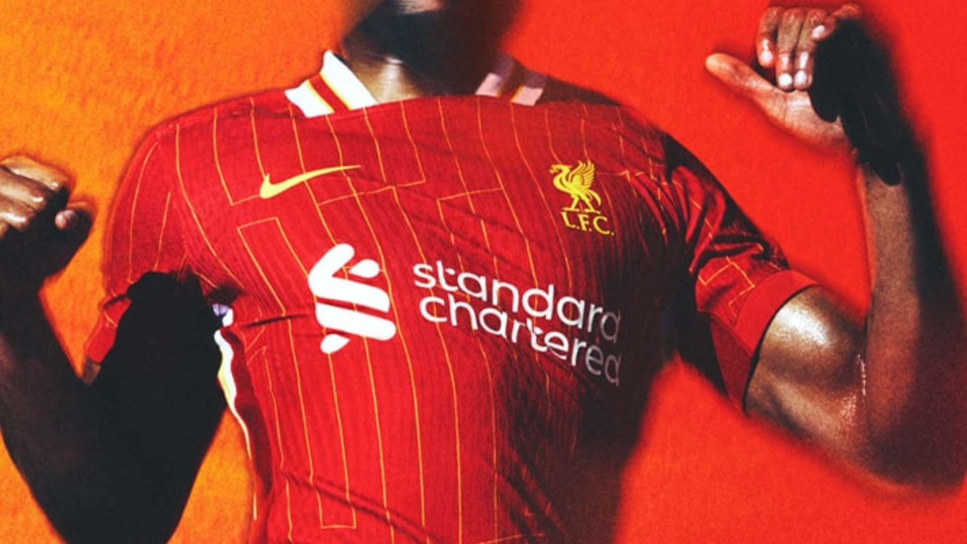 共同铸就了 共同铸就了